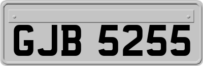 GJB5255