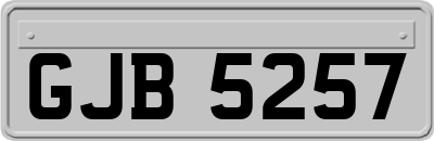 GJB5257