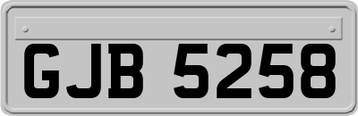 GJB5258