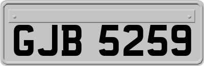 GJB5259