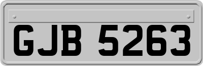 GJB5263