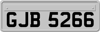 GJB5266