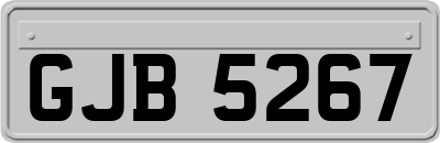 GJB5267