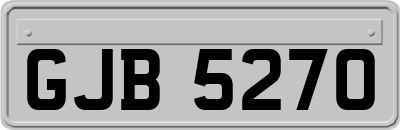 GJB5270