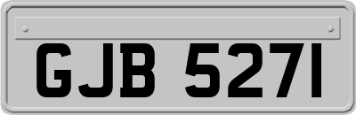 GJB5271