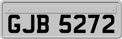 GJB5272