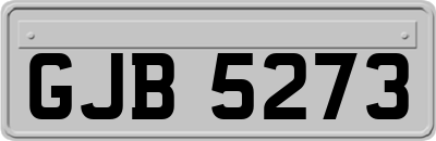 GJB5273