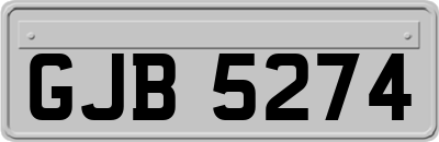 GJB5274