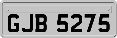 GJB5275