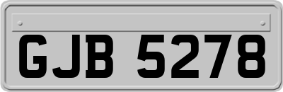 GJB5278