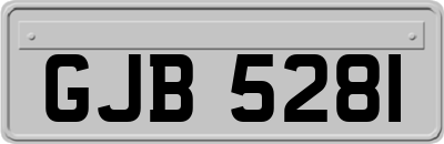 GJB5281