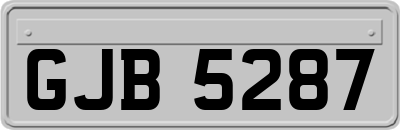 GJB5287
