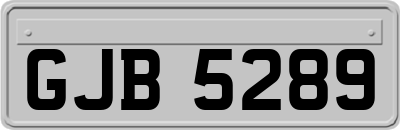 GJB5289