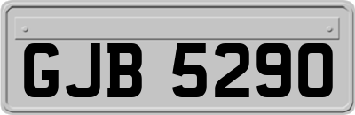 GJB5290