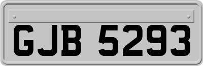 GJB5293