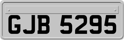GJB5295