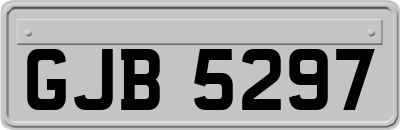GJB5297