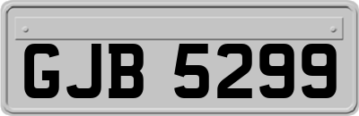 GJB5299