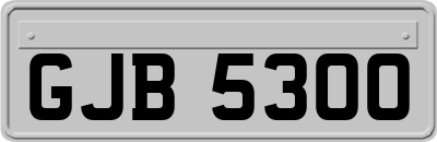 GJB5300