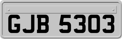 GJB5303