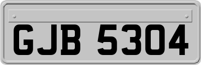 GJB5304