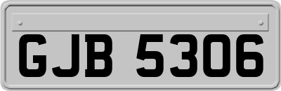 GJB5306