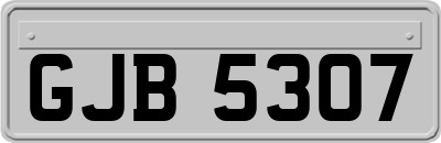 GJB5307