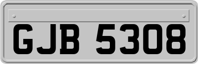GJB5308