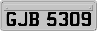 GJB5309