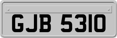 GJB5310