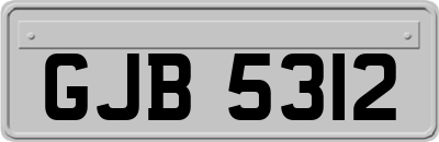 GJB5312