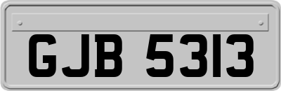 GJB5313