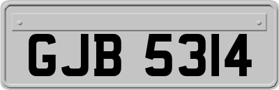 GJB5314