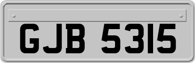 GJB5315