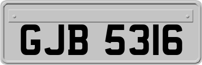 GJB5316