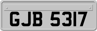 GJB5317
