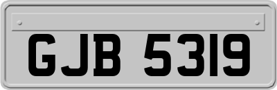 GJB5319