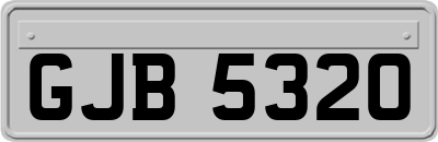 GJB5320