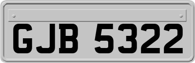 GJB5322