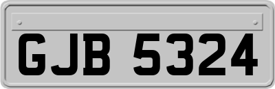 GJB5324