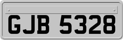 GJB5328
