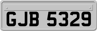 GJB5329