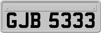 GJB5333