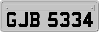 GJB5334