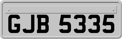 GJB5335