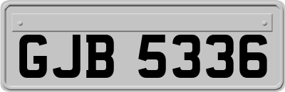 GJB5336