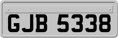 GJB5338