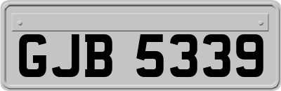 GJB5339