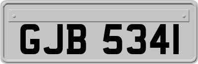 GJB5341