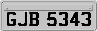 GJB5343